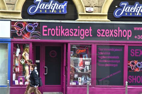 budapest brothels|Budapest Sex Guide [2024] .